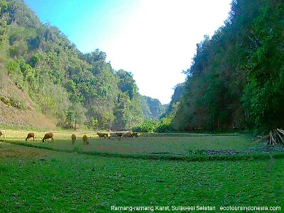 Tanah Pertanian di Pegunungan Karst di Ramang-Ramang Maros, Sulawesi Selatan