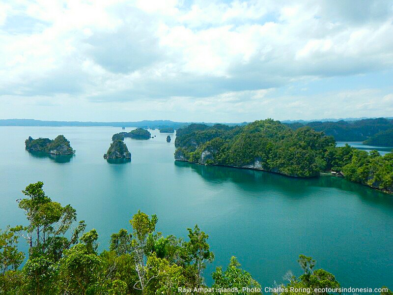 Pemandangan Raja Ampat yang indah