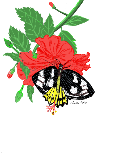 digital drawing of flower and butterfly