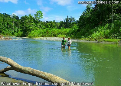 Rainforest Riverwalk Tour in Manokwari