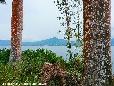 Lake Tondano in North Sulawesi of Minahasa