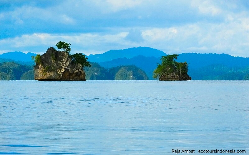 Bird's Head Seascape of Raja Ampat