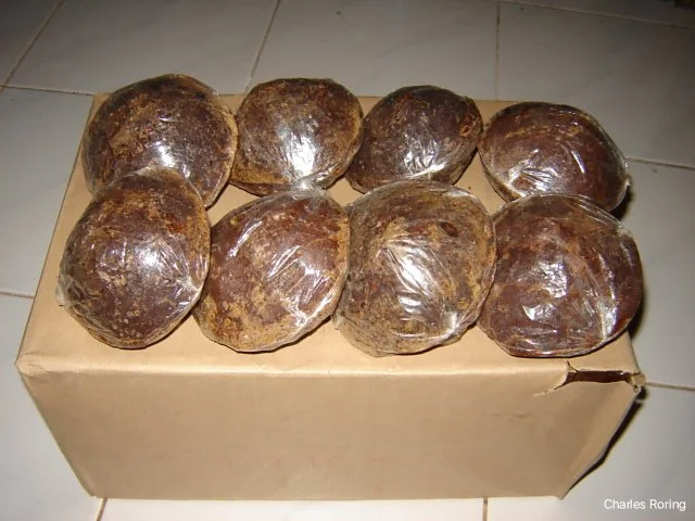 Agricultural product from Minahasa Palm sugar made of the sap of aren tree