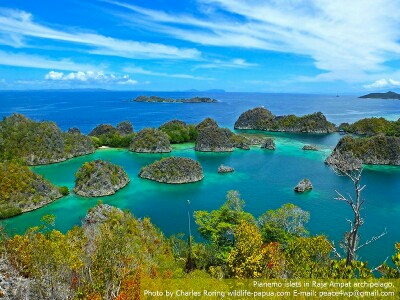 Piaynemo karst in Raja Ampat of Indonesia.