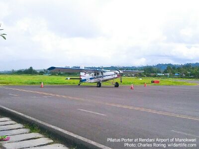 small aircraft Pilatus Porter PC-6