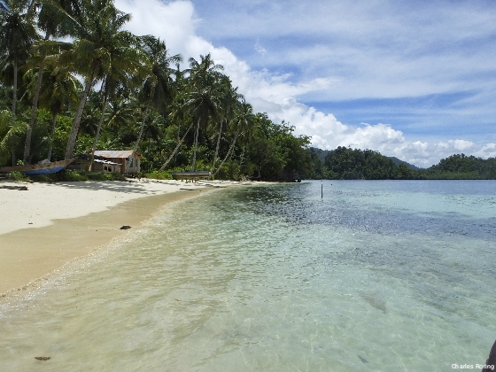 Snorkeling Tour in Raja Ampat