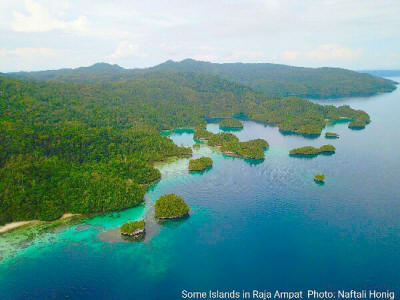 Some islands in Raja Ampat