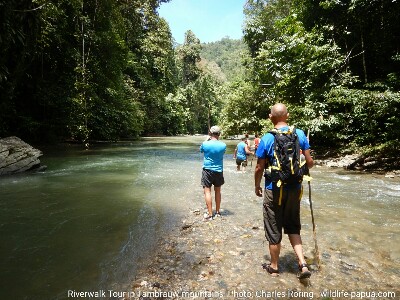 Tourists from Poland were doing riverwalk tour in Tambrauw regency of West Papua.