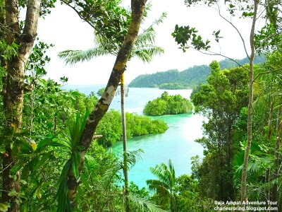 Snorkeling Adventure in the islands of Raja Ampat