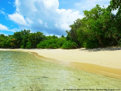 White sandy beach in uninhabited island of Raja Ampat